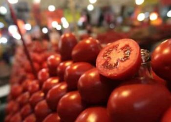 demócratas acuerdo jitomate mexicano