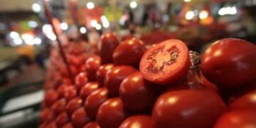 demócratas acuerdo jitomate mexicano