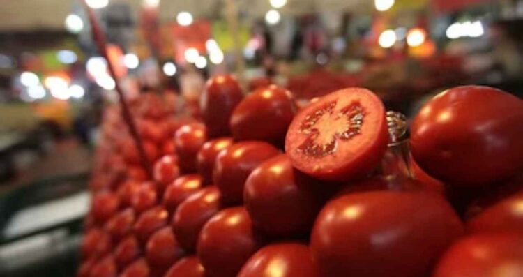 demócratas acuerdo jitomate mexicano
