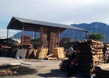 Fuego en negocio Hidalgo