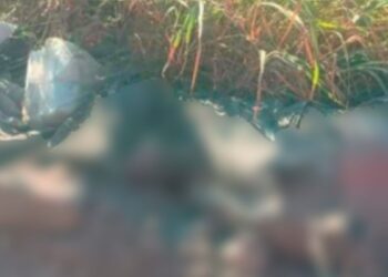 Hallan sin vida a un hombre en la carretera Victoria-Monterrey en Tamaulipas