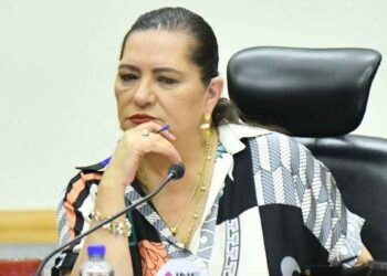 INE pide analizar la posible eliminación de los OPLES