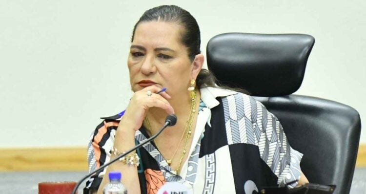 INE pide analizar la posible eliminación de los OPLES