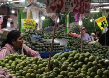 Inflación en México llega a 3.51% en julio: ¿Qué productos disminuyeron su precio?