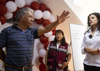 Morena Comités Seccionales