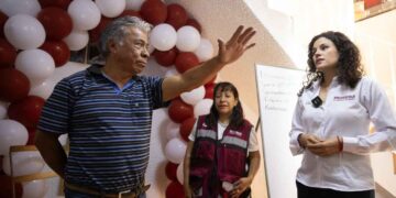 Morena Comités Seccionales