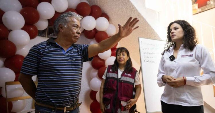 Morena Comités Seccionales
