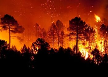 Jaumave incendios forestales