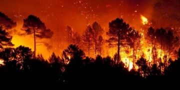 Jaumave incendios forestales