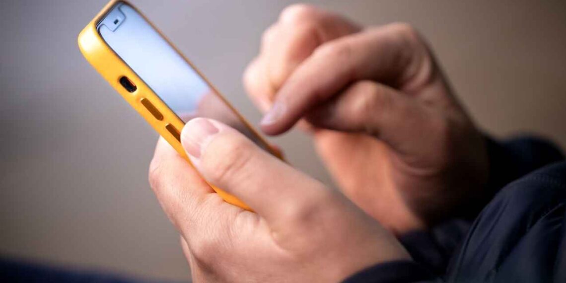 PVEM llamadas mensajes