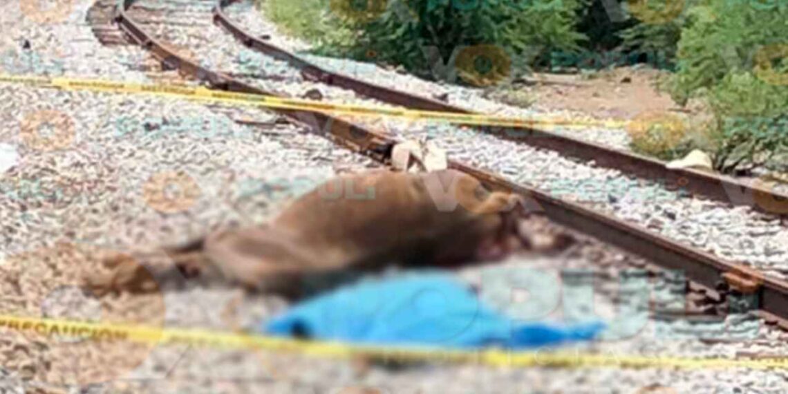 Trágica muerte en Villa de Casas