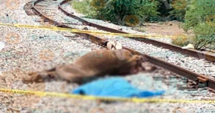 Trágica muerte en Villa de Casas