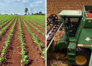 agricultores Tamaulipas