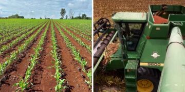 agricultores Tamaulipas