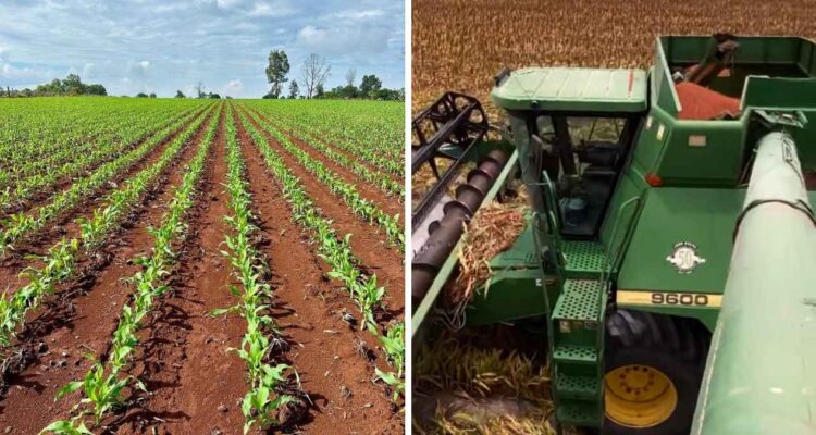agricultores Tamaulipas