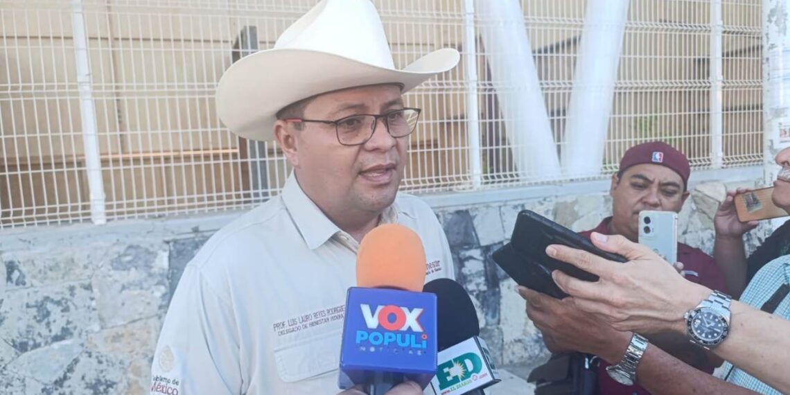 apoyos federales en Tamaulipas