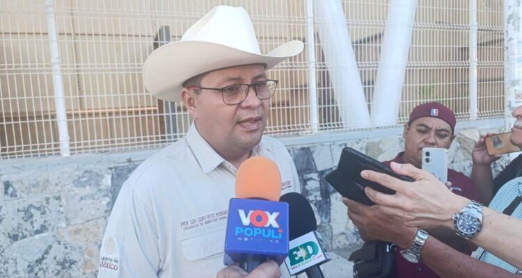 apoyos federales en Tamaulipas
