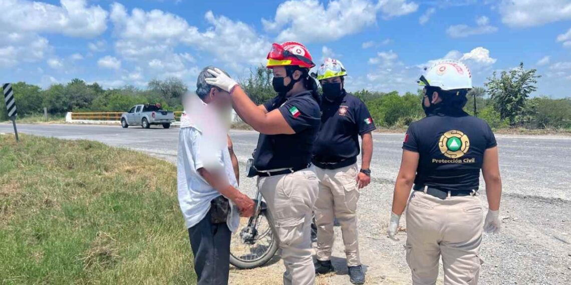 arrolla a adulto Mante-Tampico