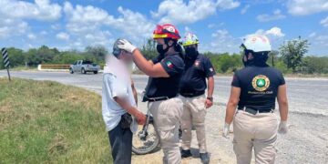 arrolla a adulto Mante-Tampico