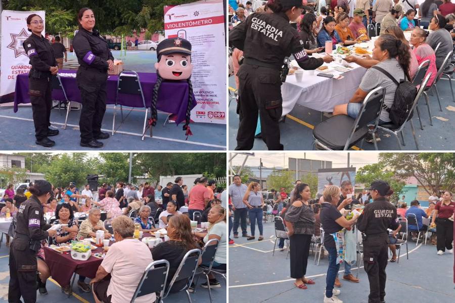 atención a la violencia familiar y de género