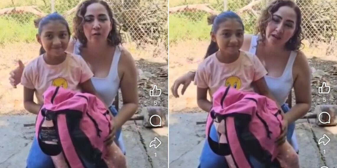 ayuda para Almita de Gómez Farías