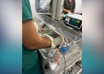 ayuda para bebé en Ciudad Victoria