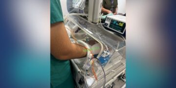 ayuda para bebé en Ciudad Victoria