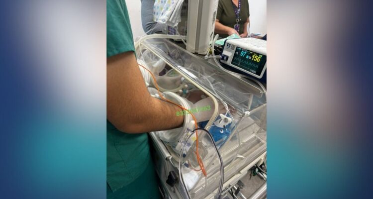 ayuda para bebé en Ciudad Victoria