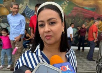 brigadas contra el dengue en Victoria