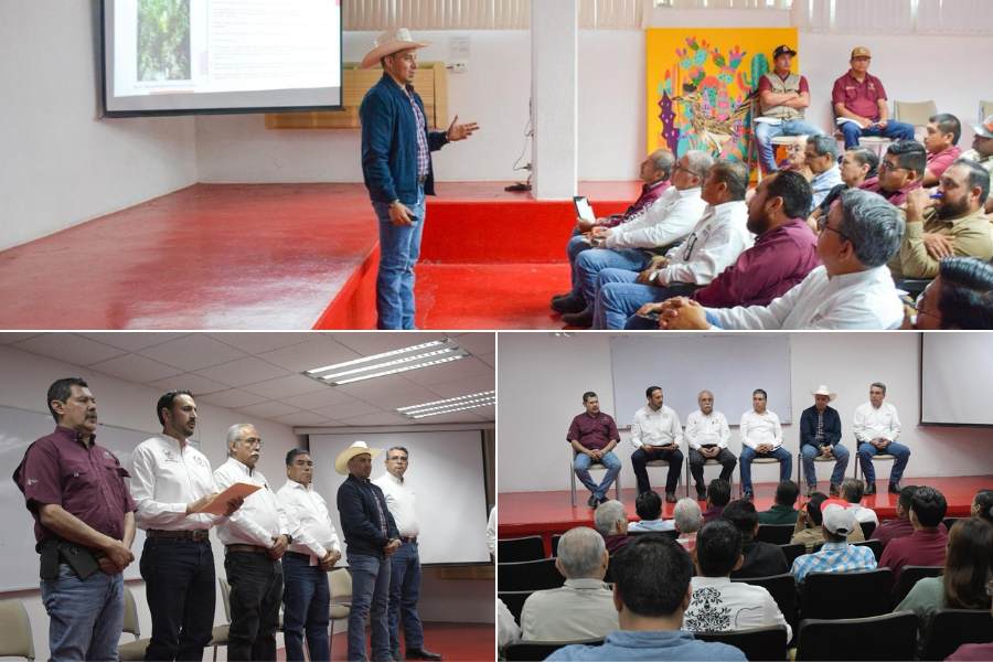 capacitación en detección del gusano barrenador