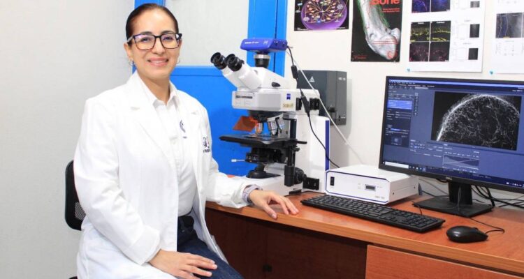 certificación nacional para investigadores UAT