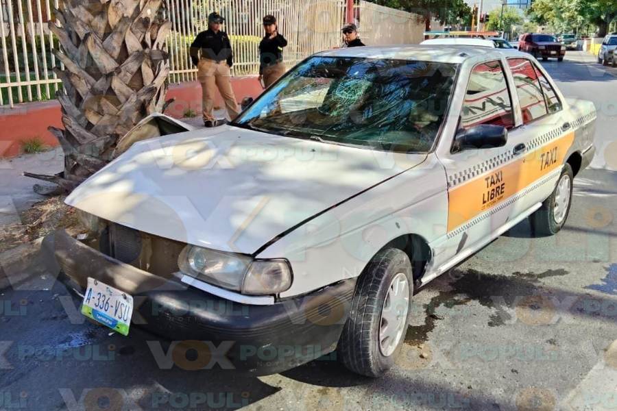choque contra palmera en Ciudad Victoria