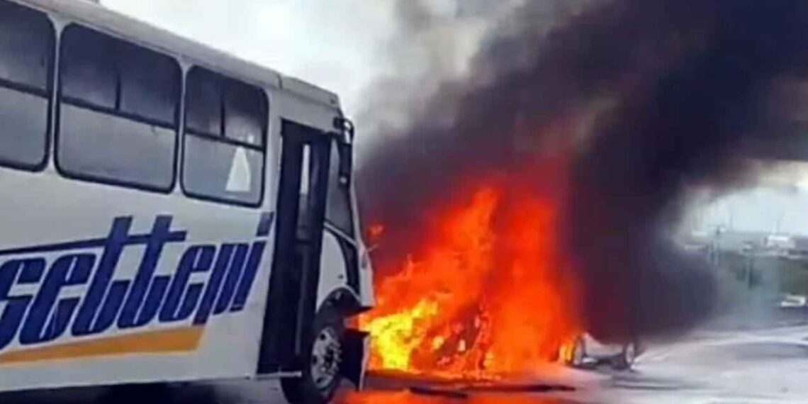 choque múltiple Ciénega de Flores