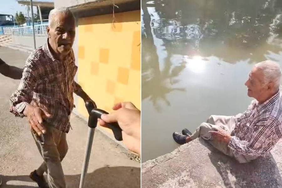 cocodrilo en canal de tampico