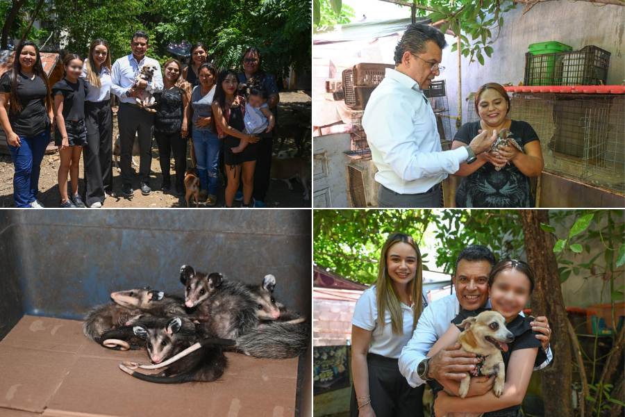 Colectivo Animalista de Victoria