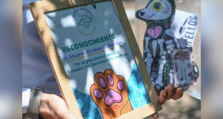 Reconoce Colectivo Animalista a Ciudad Victoria, Tamaulipas, por apoyar derechos de los animales