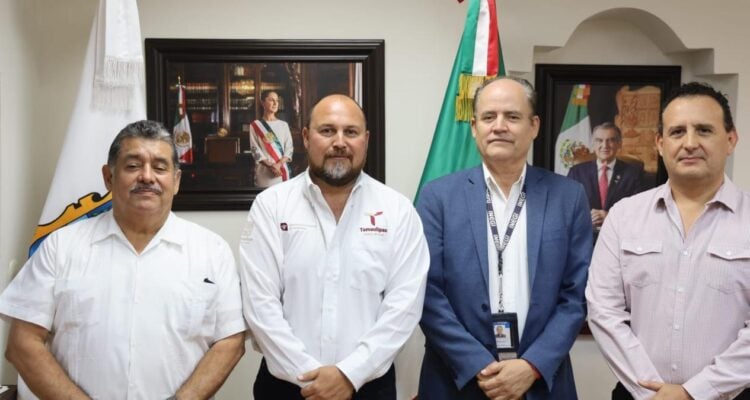 Comité Estatal de Información en Tamaulipas
