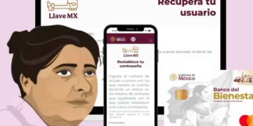 contraseña Llave MX