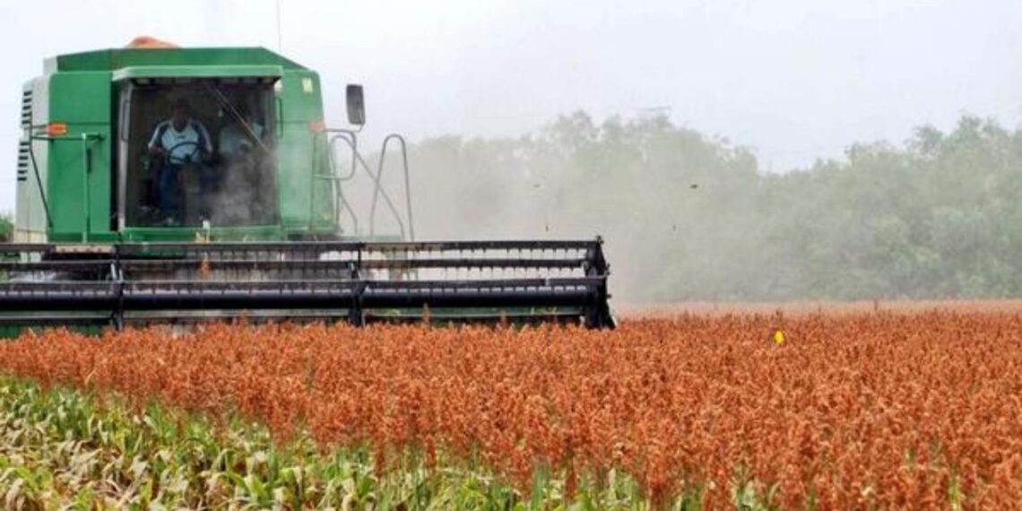 crecimiento de la economía de Tamaulipas