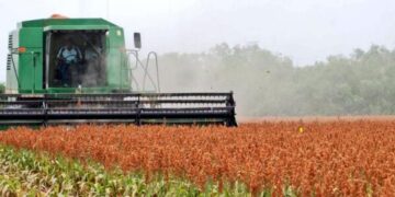 crecimiento de la economía de Tamaulipas