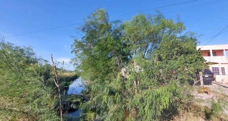 desazolve drenaje Matamoros