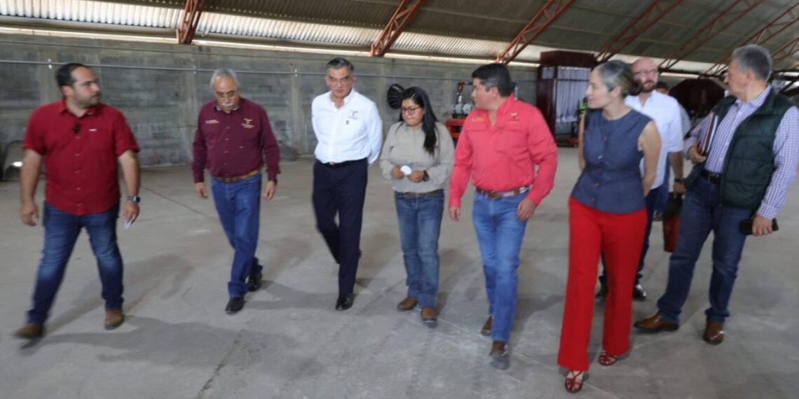 empacadora de carbón vegetal El Bernal en Victoria