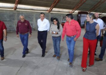 empacadora de carbón vegetal El Bernal en Victoria