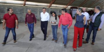 empacadora de carbón vegetal El Bernal en Victoria