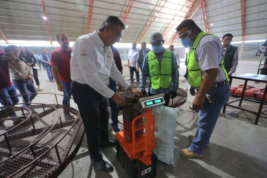 empacadora de carbón vegetal El Bernal en Victoria