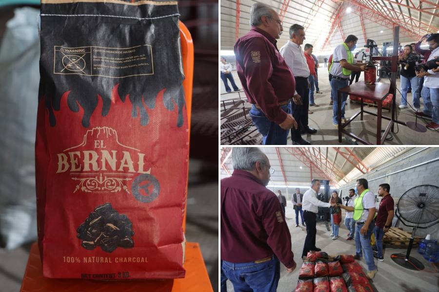 empacadora de carbón vegetal El Bernal en Victoria