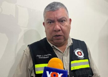 enjambres de abejas en Ciudad Victoria