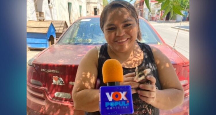 esterilización de mascotas Ciudad Victoria