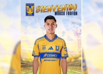 fichajes Tigres