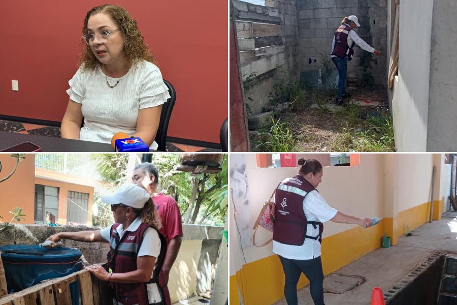 fumigaciones contra dengue en Tampico